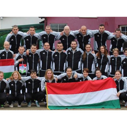 Futsal Európa-bajnokság – Szófia, 2014. november 19-29.