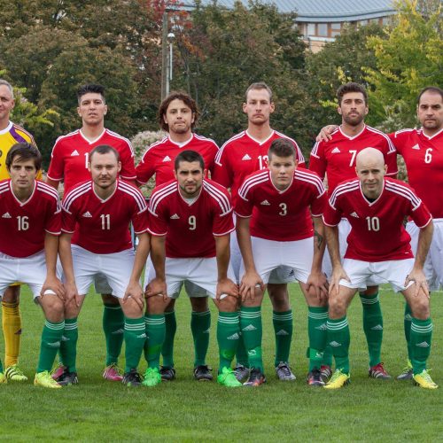 Magyarország-Írország 0-2